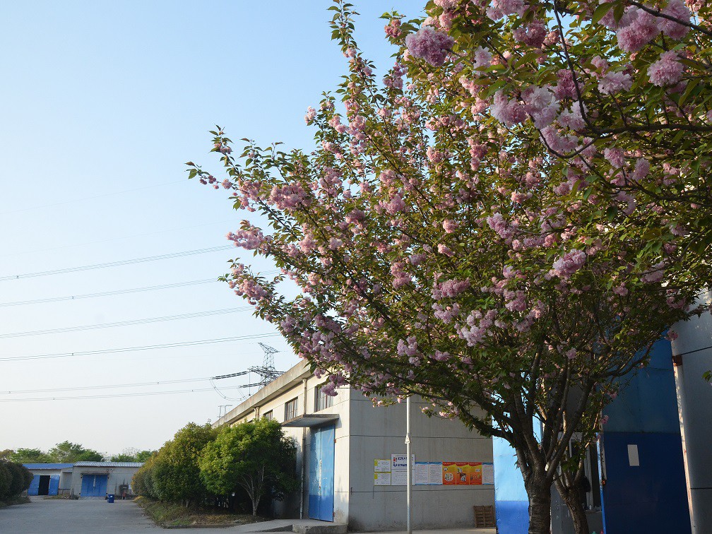 Our Factory Our Factory